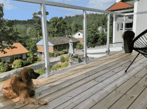 Glasgeländer aus weiß pulverbeschichtetem Aluminium rund um Eckbalkon mit Holzdielen und Blick auf Wohnviertel und Grünflächen.